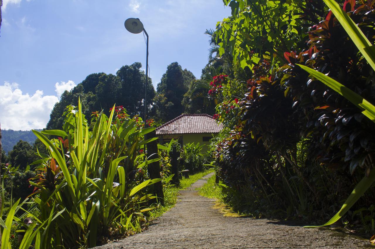 Aryautama Garden Villa Munduk Kültér fotó
