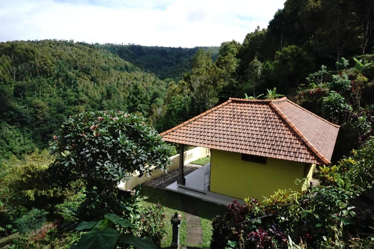 Aryautama Garden Villa Munduk Kültér fotó