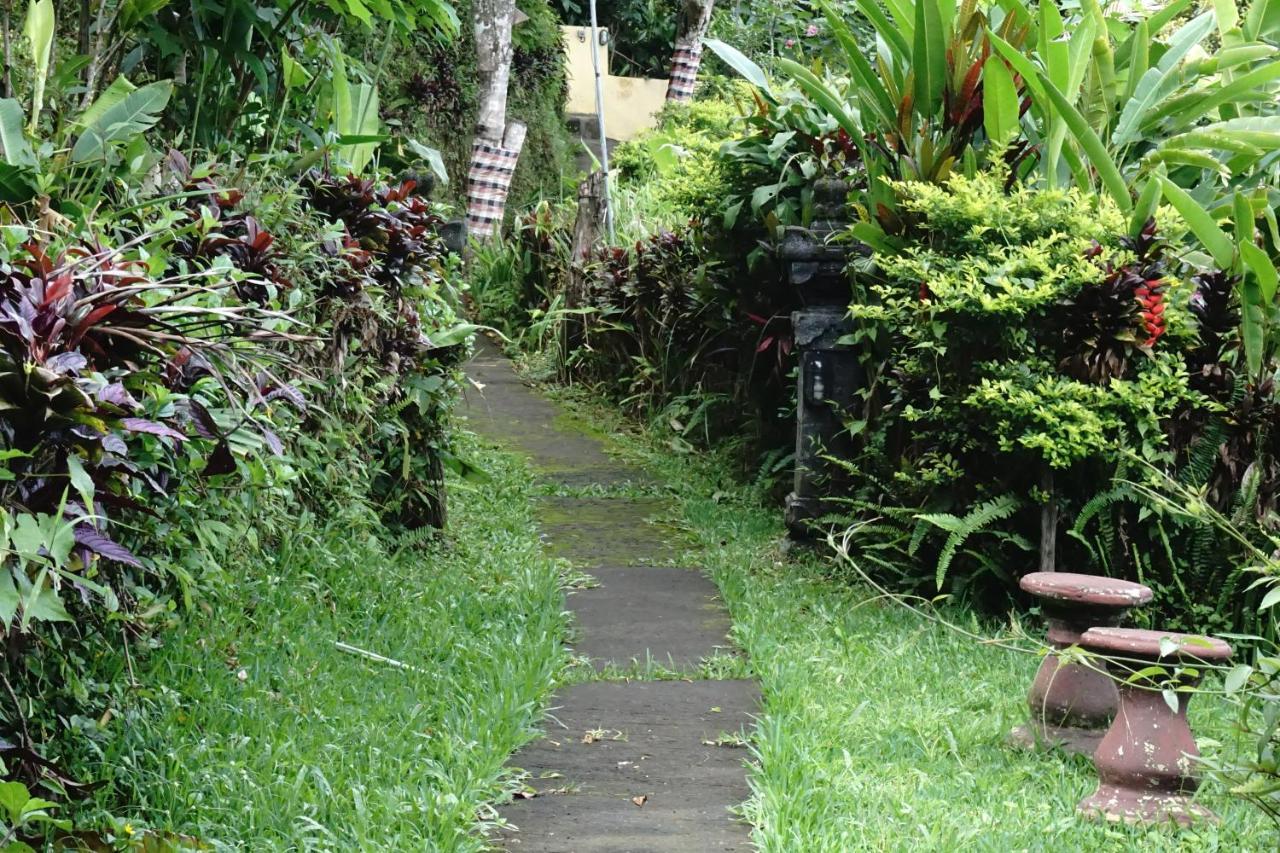 Aryautama Garden Villa Munduk Kültér fotó
